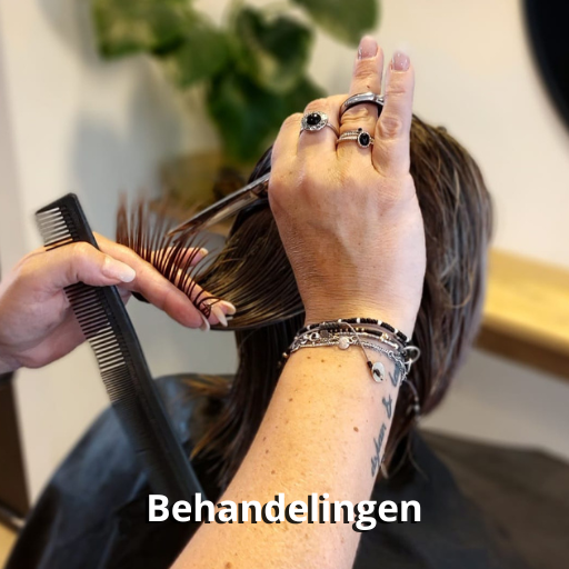 Behandelingen